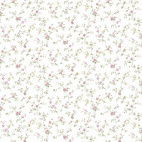 Aura Valentine 1724-3 A; 0,53х10,05 м.