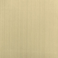 Aura Plain Resource vol.2 B1180204; 0,53x10,05 м.