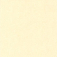 Aura Les Aventures 11024937 N5; 0,53х10,05 м.