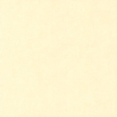Aura Les Aventures 11024937 N5; 0,53х10,05 м.