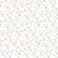 Aura Valentine 1724-2 A; 0,53х10,05 м.