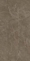 S.S. Grey Wax 60x120/С.С. Грей Вакс Рет 60х120 (610015000311)