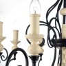 Люстра Maytoni H631-PL-06-B