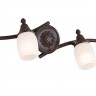 Спот Maytoni SP563-CW-04-R