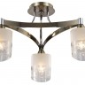Потолочный светильник Freya FR5475CL-03CH