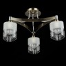 Потолочный светильник Freya FR5475CL-03CH
