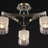 Потолочный светильник Freya FR5475CL-03CH