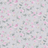 Aura Valentine 1723-4 A; 0,53х10,05 м.