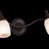 Спот Maytoni SP563-CW-02-R