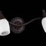 Спот Maytoni SP563-CW-02-R