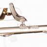Подсветка Maytoni PIC113-02-G