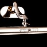 Подсветка Maytoni PIC113-02-G
