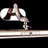 Подсветка Maytoni PIC113-02-G