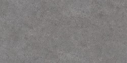 DL501000R Фондамента серый темный обрезной 60*119.5 керамический гранит