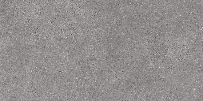 DL590100R Фондамента серый обрезной 119.5*238.5 керамический гранит