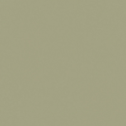 RW061