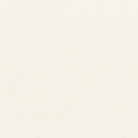 Aura Plain Resource vol.2 B1180306; 0,53x10,05 м.