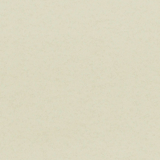 Aura Plain Resource vol.2 B1180307; 0,53x10,05 м.