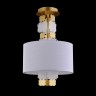 Потолочный светильник Maytoni H601PL-01BS