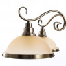 Люстра Arte Lamp SAFARI