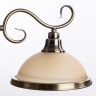Люстра Arte Lamp SAFARI