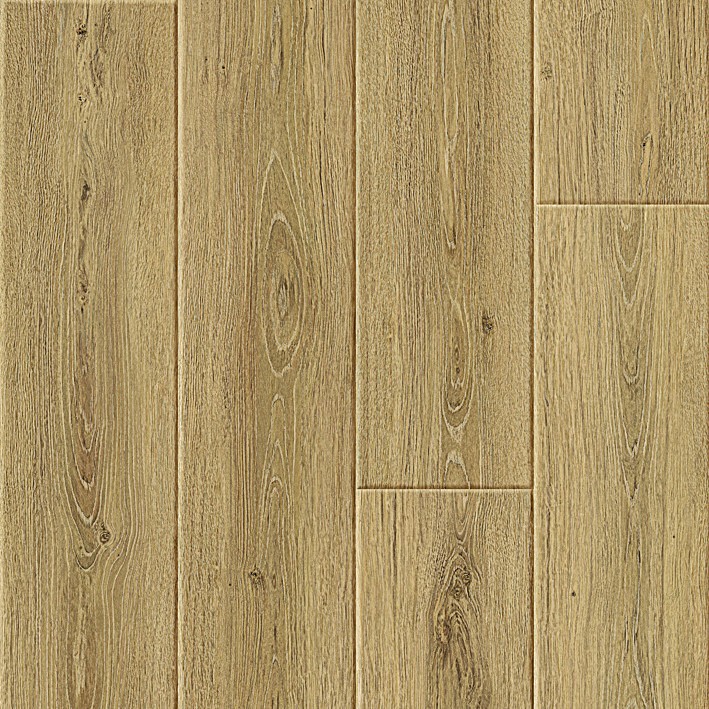 S172913 Luna Roble Oak