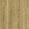 S172913 Luna Roble Oak