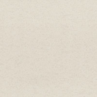 Aura Plain Resource vol.2 B1180310; 0,53x10,05 м.