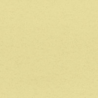 Aura Plain Resource vol.2 B1180309; 0,53x10,05 м.