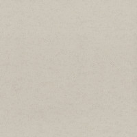 Aura Plain Resource vol.2 B1180305; 0,53x10,05 м.