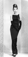 Фрески и фотообои, Каталог Графика и карты, арт. ID13555