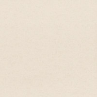 Aura Plain Resource vol.2 B1180302; 0,53x10,05 м.