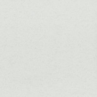 Aura Plain Resource vol.2 B1180304; 0,53x10,05 м.