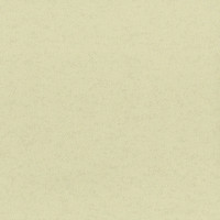 Aura Plain Resource vol.2 B1180301; 0,53x10,05 м.