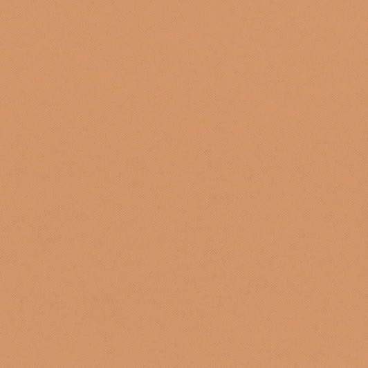 Aura Plain Resource vol.2 B1180303; 0,53x10,05 м.