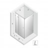 Душевое ограждение NEW TRENDY AVEXA 100x110x200 EXK-1487 (хром)
