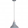 Подвесной светильник Freya FR5025PL-01GR