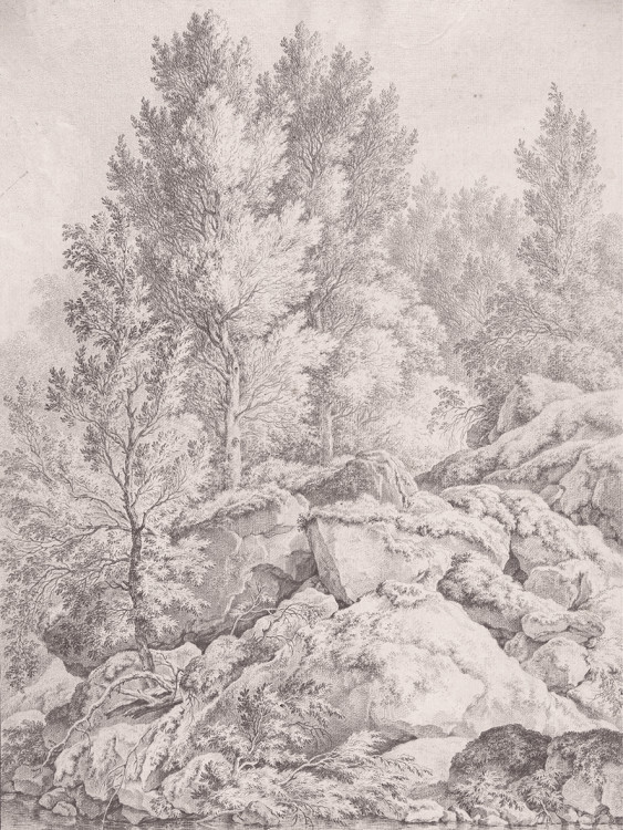 Фрески и фотообои, Каталог Графика и карты, арт. ID136459