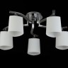 Потолочный светильник Freya FR5454CL-05CH