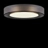 Потолочный светильник Freya FR6005CL-L48G