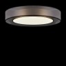 Потолочный светильник Freya FR6005CL-L48G