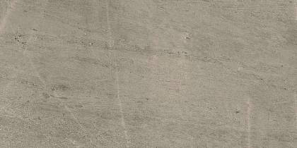 Wise Silver Grey Ret 60х120/Вайз Сильвер Грей Рет 60х120 (610010001407)