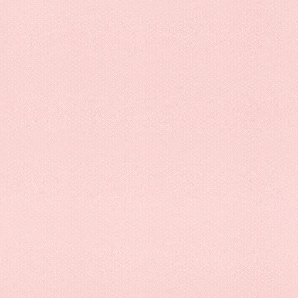Обои RASCH TEXTIL Petite Fleur 5 289021
