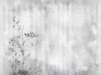 Обои и панно, Каталог Trend Art, арт. DP410-COL4