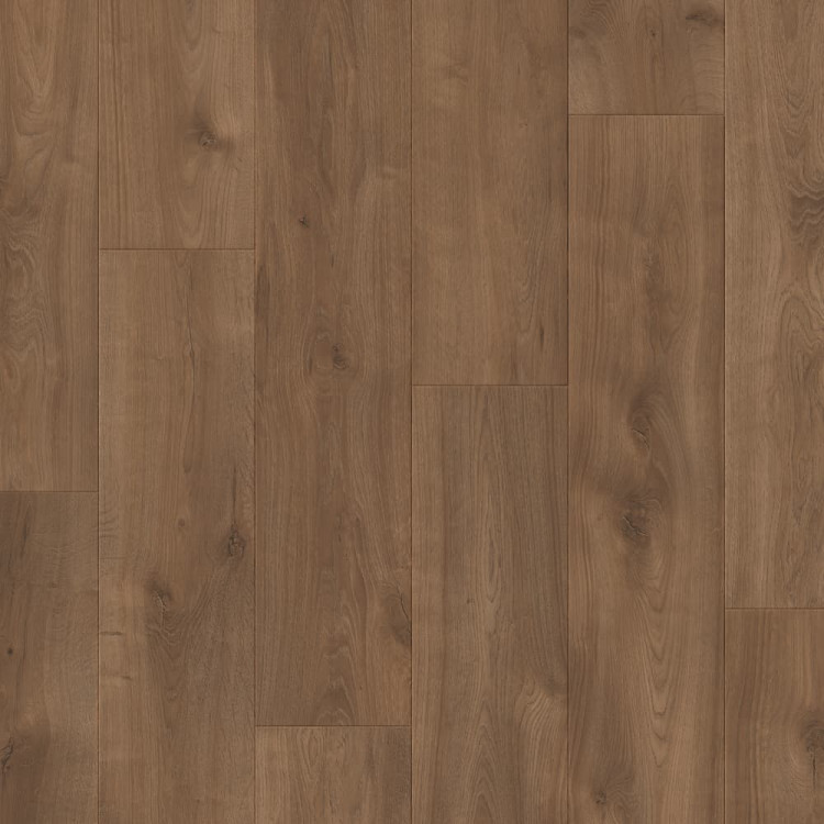 Дуб изысканный коричневый L1249-05029
