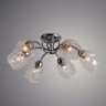 Люстра Arte Lamp RICCIO