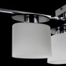 Потолочный светильник Freya FR5101-CL-06-CN
