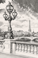 Фрески и фотообои, Каталог Графика и карты, арт. ID136467