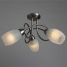 Люстра Arte Lamp MUTTI