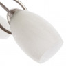 Люстра Arte Lamp MUTTI